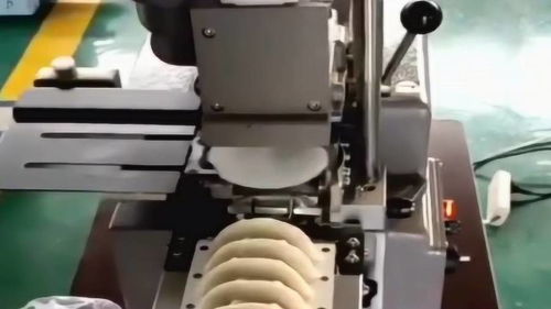 爸爸癱瘓在家,媽媽在食品廠上班,每天加工無數(shù)餃子